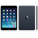 Apple iPad mini Wi-Fi 32GB - Black & Slate